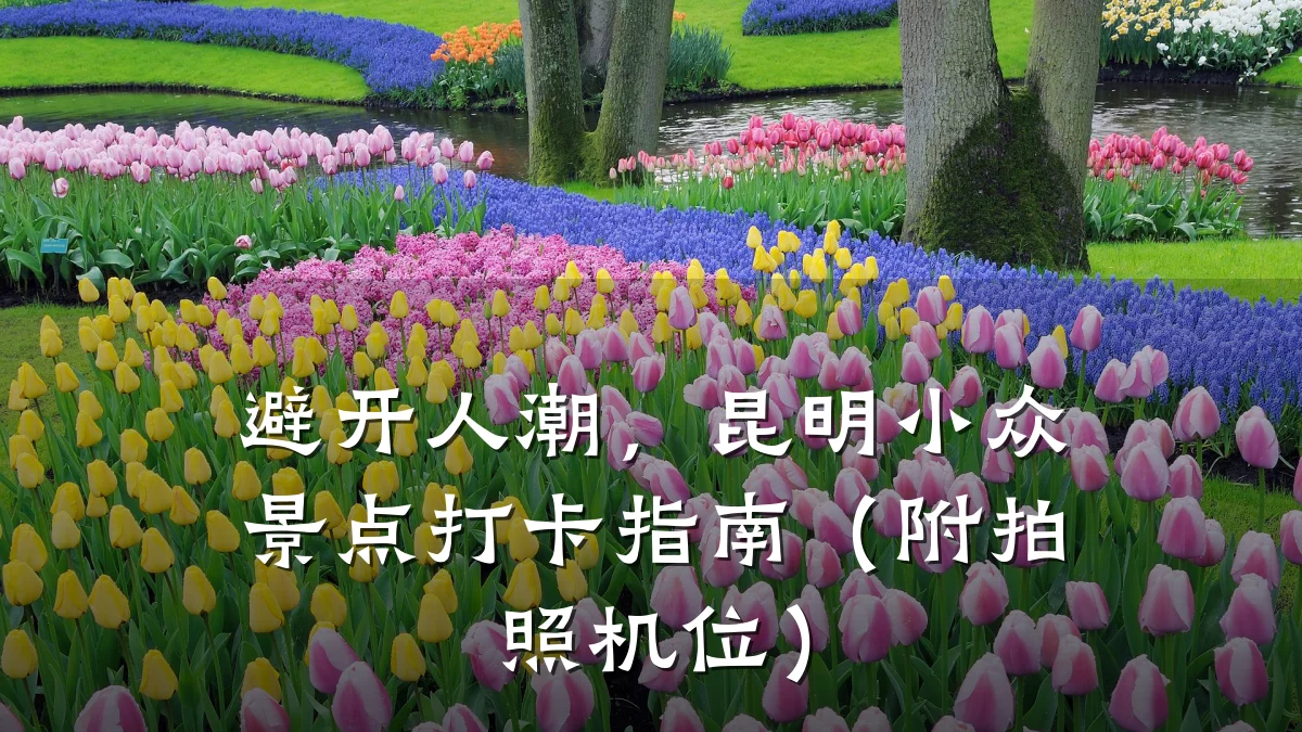 避开人潮,昆明小众景点打卡指南(附拍照机位)