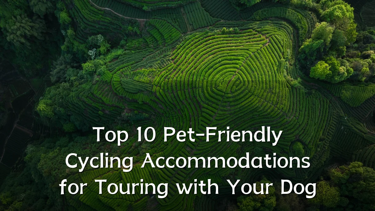 Top 10 Pet-Friendly Cycling Accommodations for Touring with Your Dog