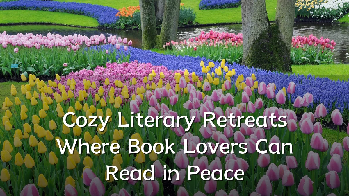 Cozy Literary Retreats Where Book Lovers Can Read in Peace
