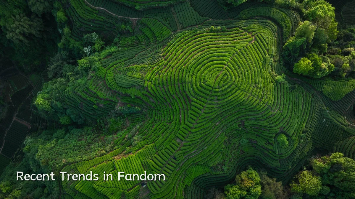 Recent Trends in Fandom