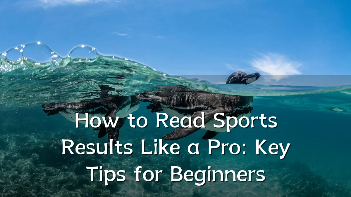 How to Read Sports Results Like a Pro: Key Tips for Beginners
