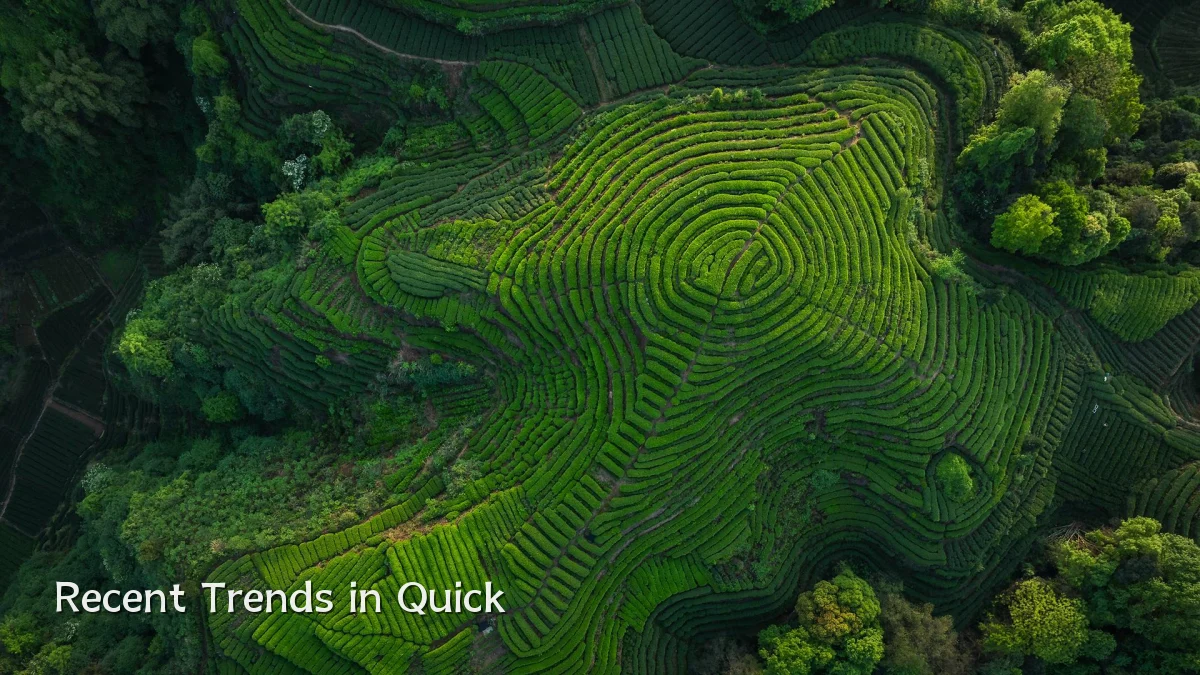 Recent Trends in Quick