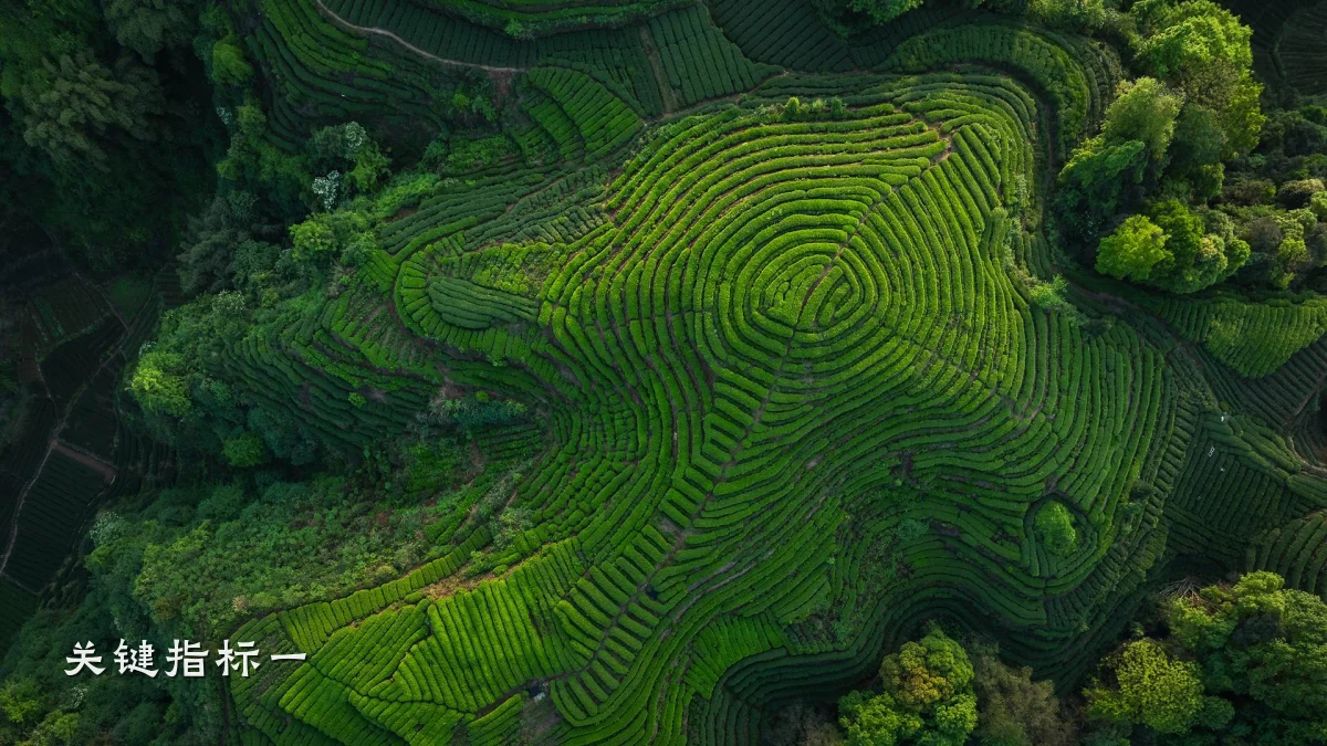 关键指标一